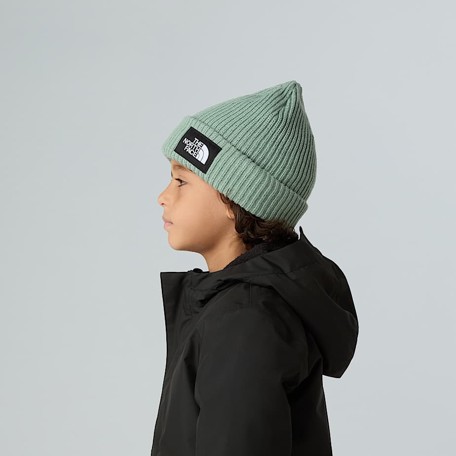Kids Salty Lined Beanie TNF ALT4