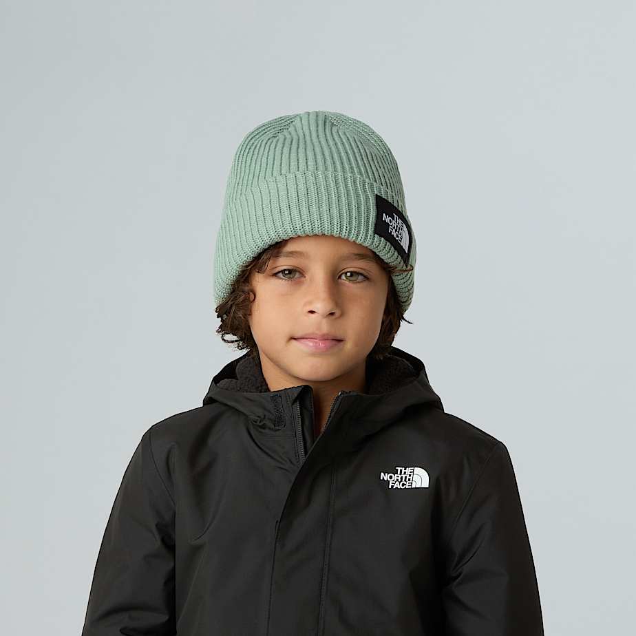 Kids Salty Lined Beanie TNF ALT1