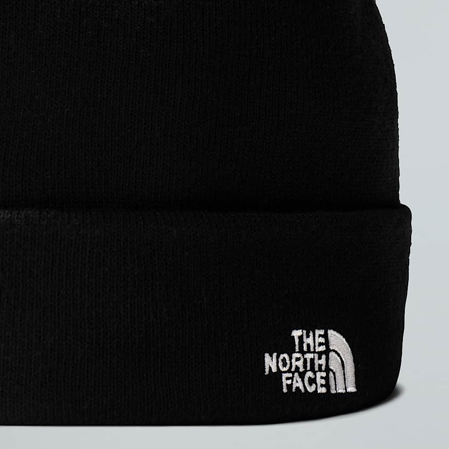 Beanie Norm Shallow TNF ALT2