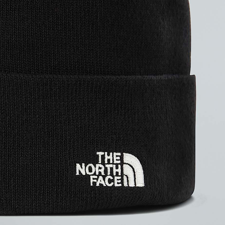 Beanie Norm TNF ALT2