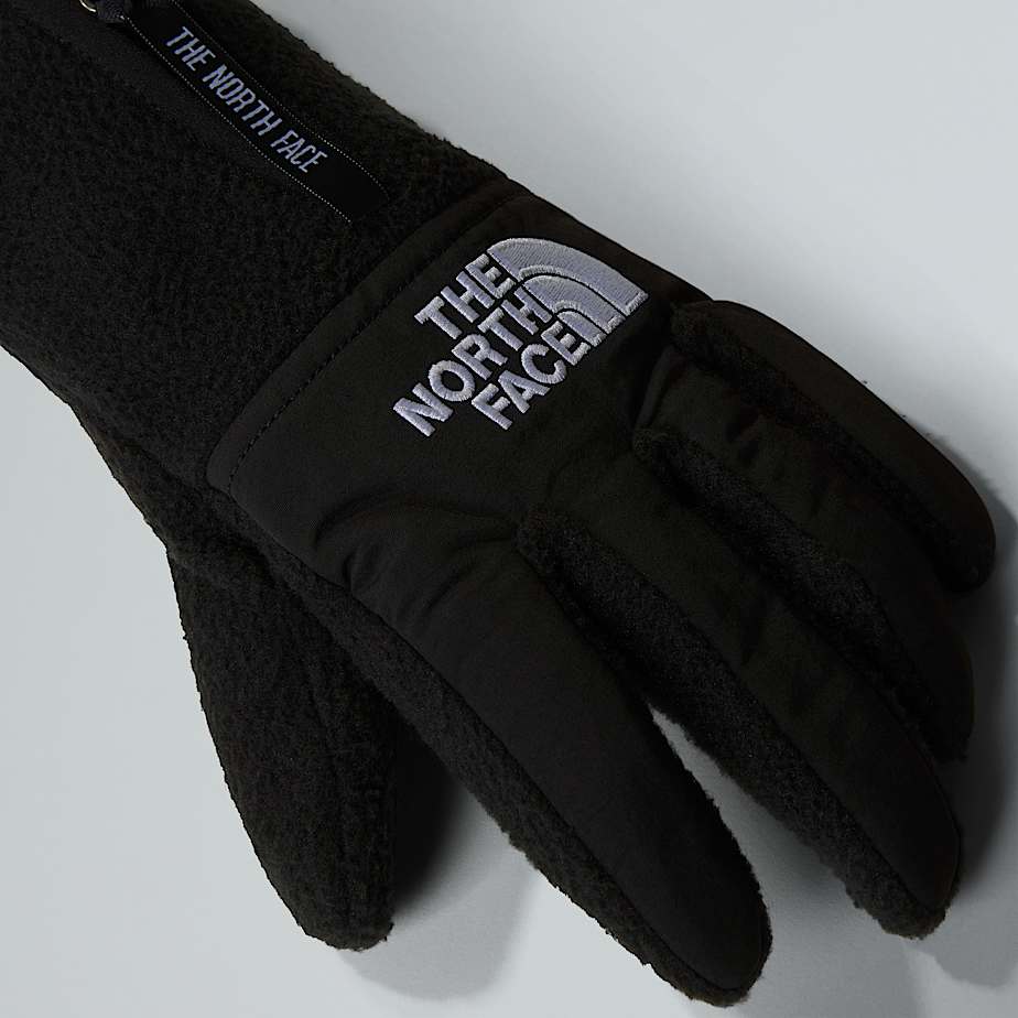 Denali Gloves Etip TNF ALT3