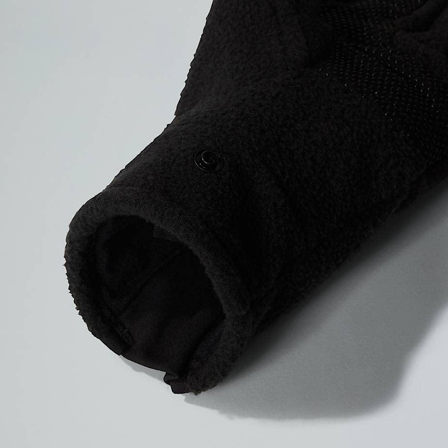 Denali Gloves Etip TNF ALT4