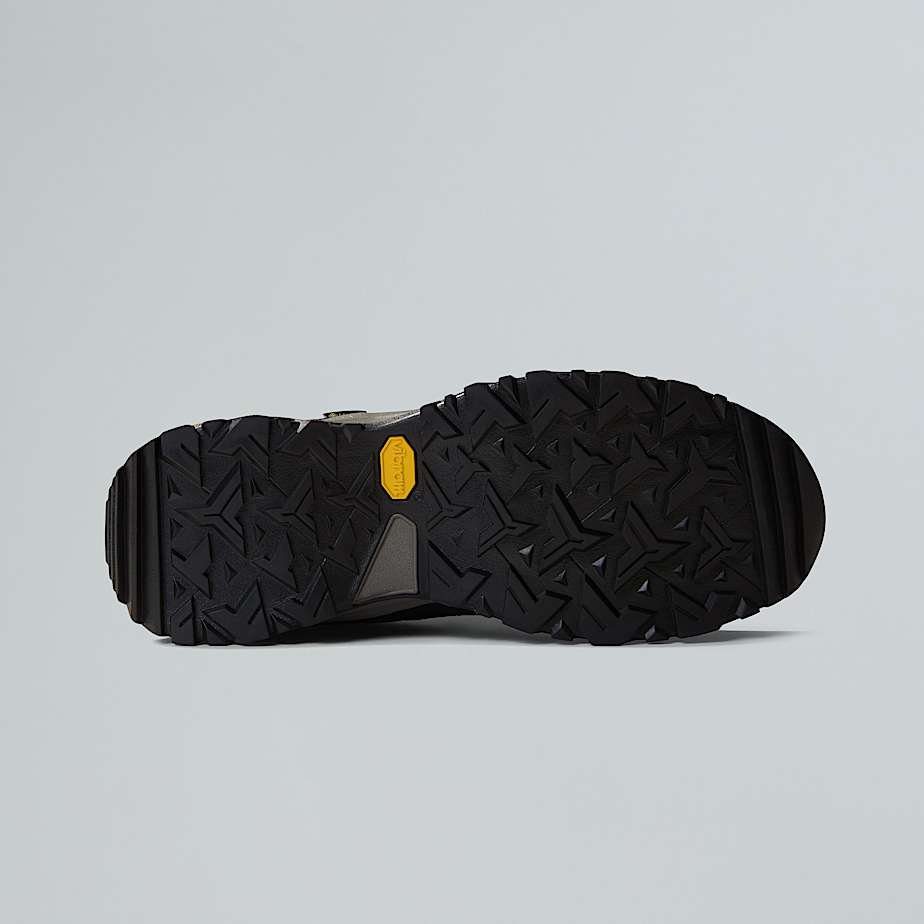 Scarpe da escursionismo Hedgehog GORETEX da uomo TNF ALT7