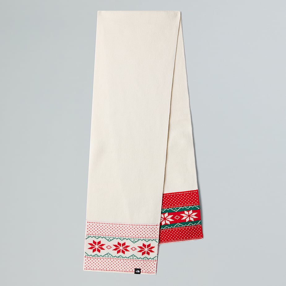 Cabin Ski Tuke Beanie and Scarf Set TNF ALT4