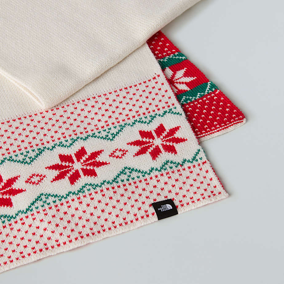 Cabin Ski Tuke Beanie and Scarf Set TNF ALT5