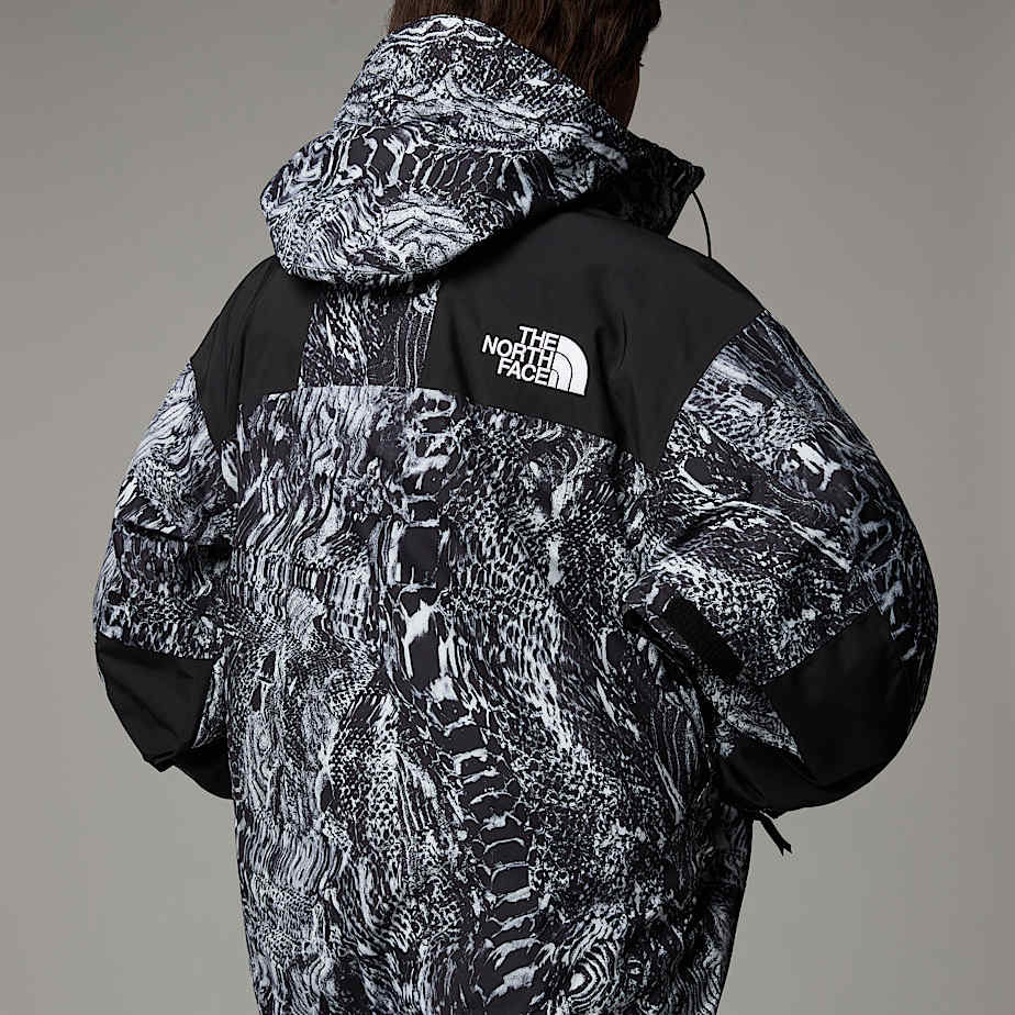 GORETEX Mountain Jacket TNF ALT21