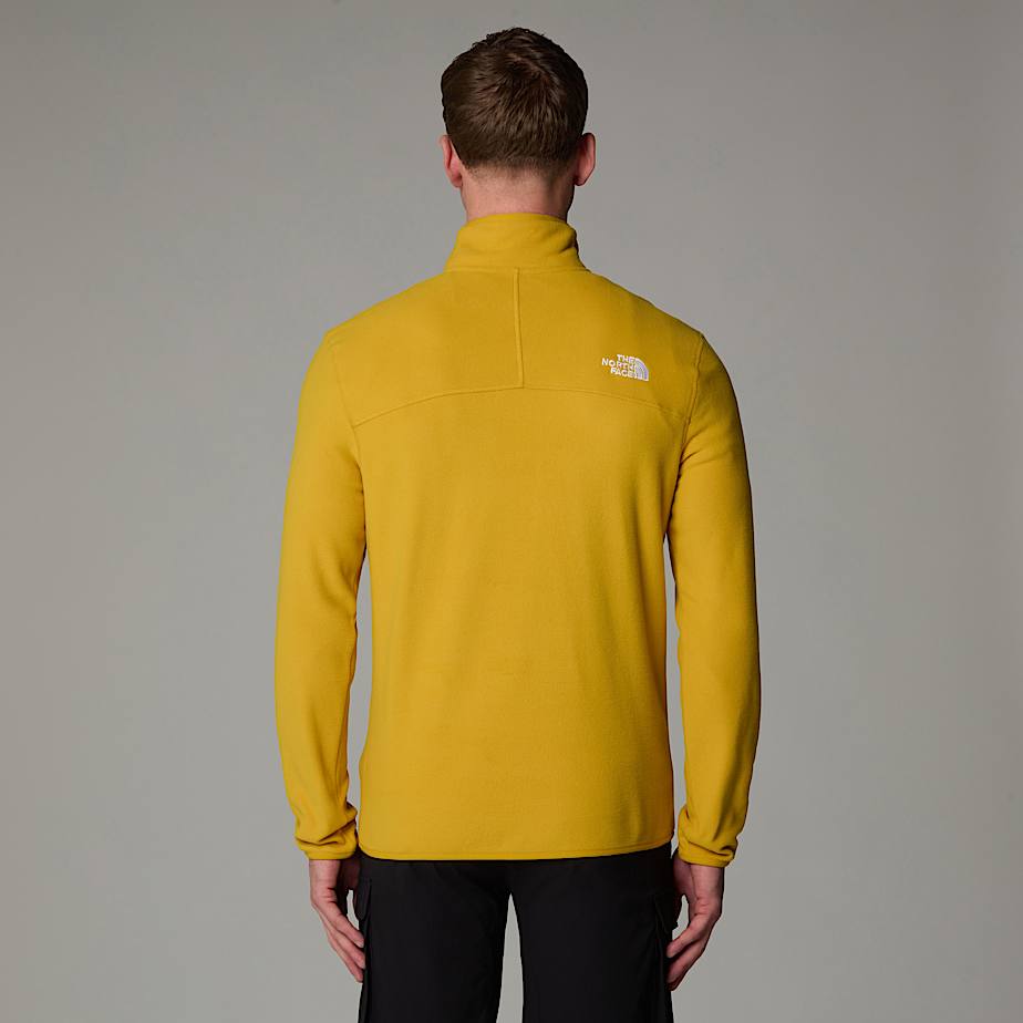 Mens 100 Glacier 14 Zip Fleece TNF ALT6