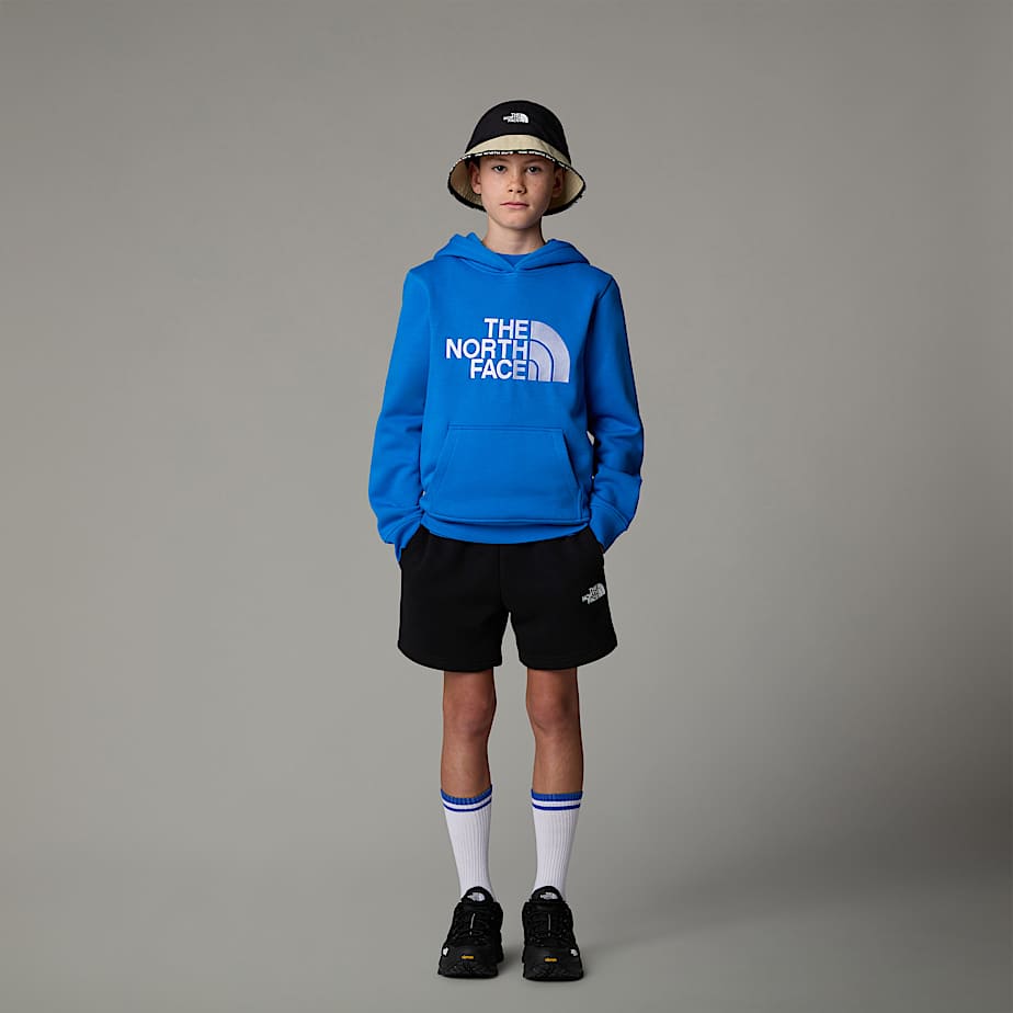 Boys Drew Peak Hoodie TNF ALT5