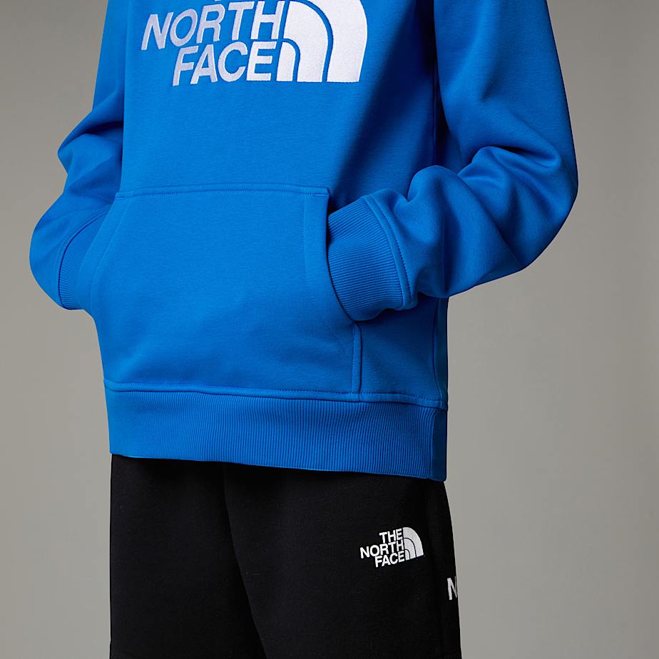 Boys Drew Peak Hoodie TNF ALT8