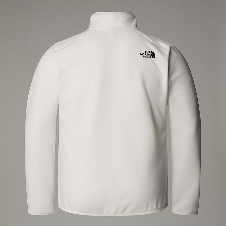 Plus Size 100 Glacier 14 Zip Fleece W TNF ALT1