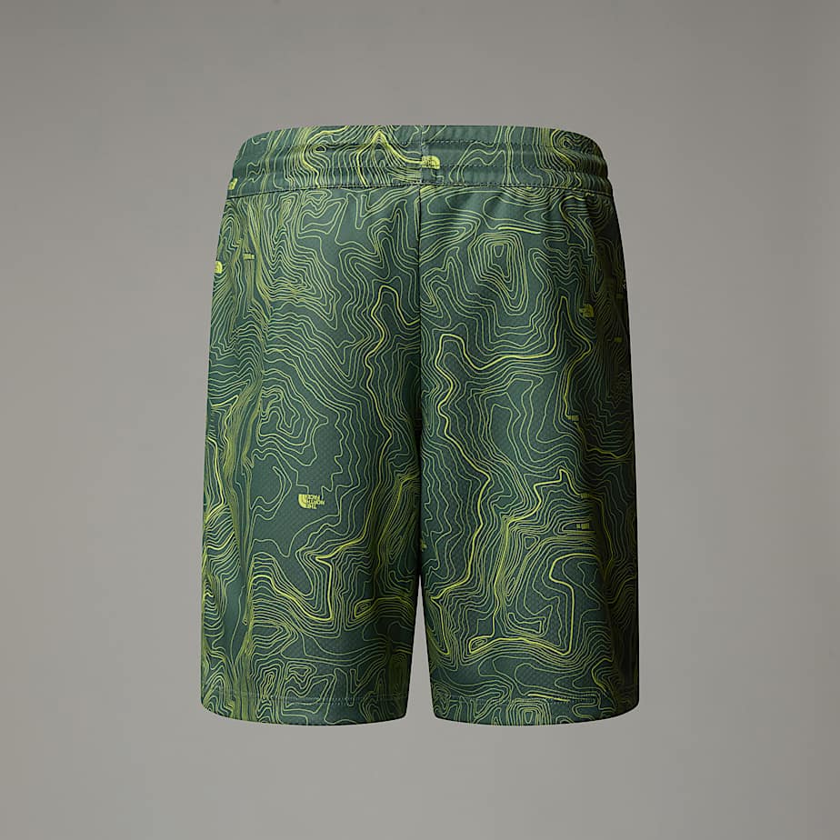 Boys Never Stop Shorts TNF ALT1