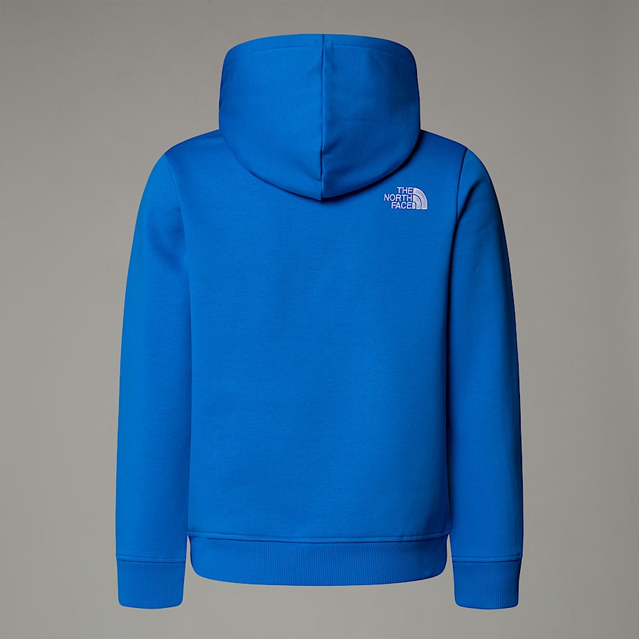 Boys Drew Peak Hoodie TNF ALT1