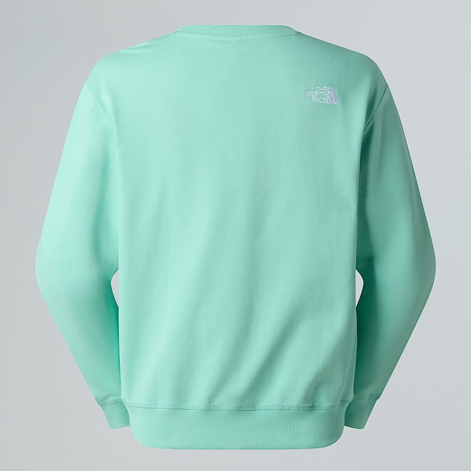 Mska bluza Essential Lite TNF ALT1