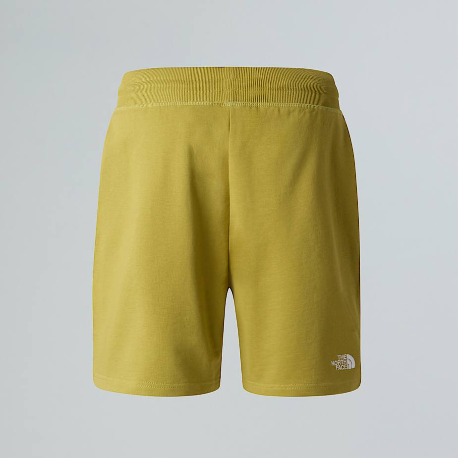 Mens Essential Lite Shorts TNF ALT1