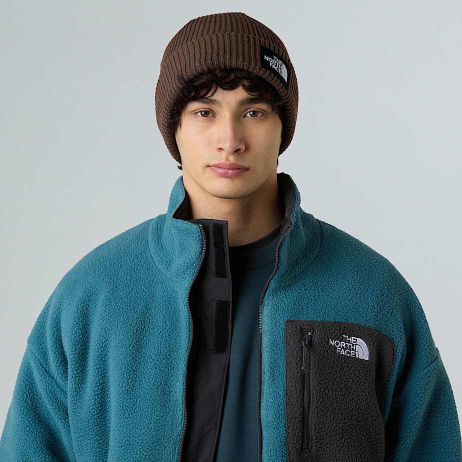 Beanie Salty Lined TNF ALT1
