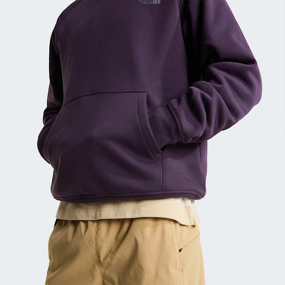 Felpa con cappuccio e maniche raglan NSE Box da uomo TNF Endless Dusk ALT6