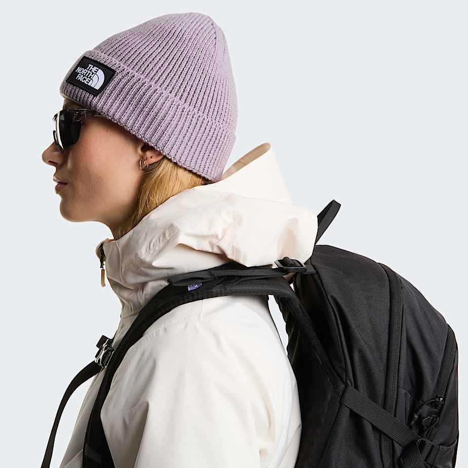 Berretto con risvolto e logo box TNF TNF Transcendent Grey ALT3