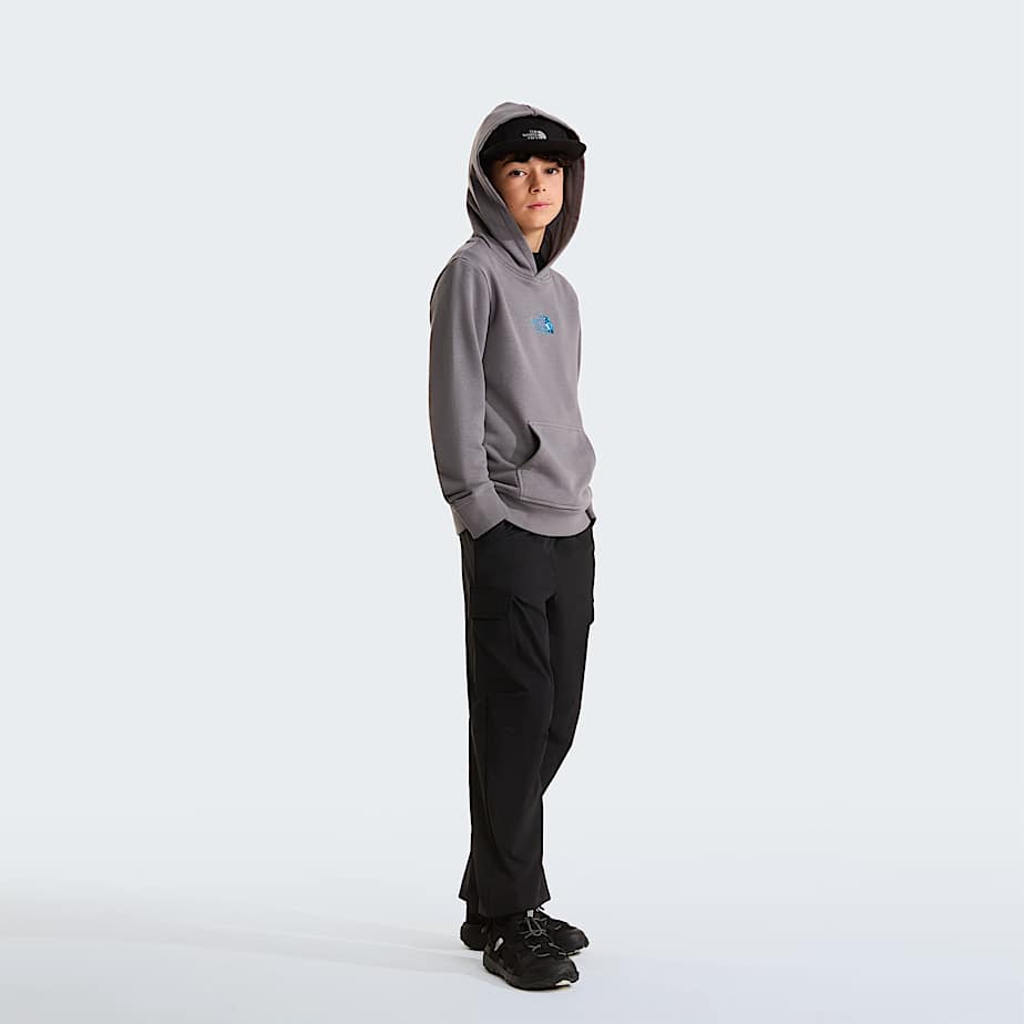 Liquid Logo Regular Hoodie Boy TNF ALT1