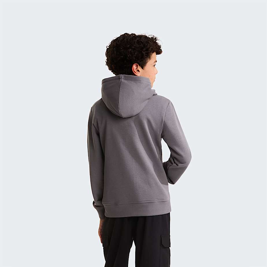 Liquid Logo Regular Hoodie Boy TNF ALT3