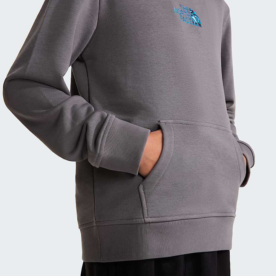 Liquid Logo Regular Hoodie Boy TNF ALT5