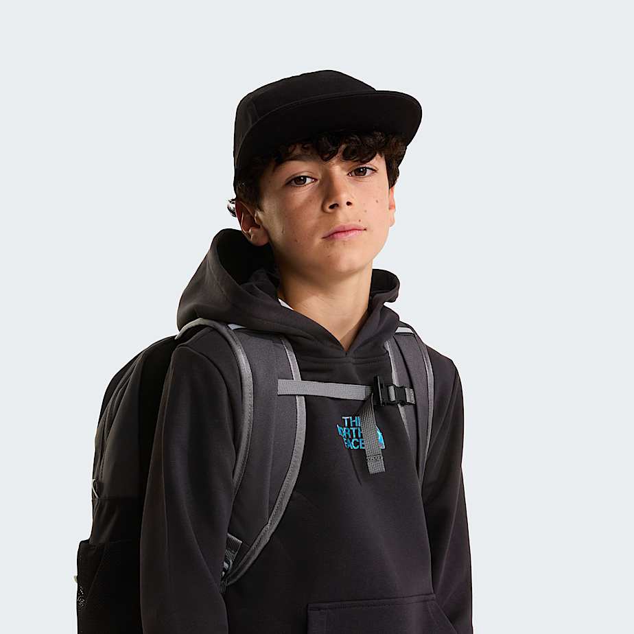 Mikina s kapuc Liquid Logo Regular pro kluky TNF TNF Black ALT6