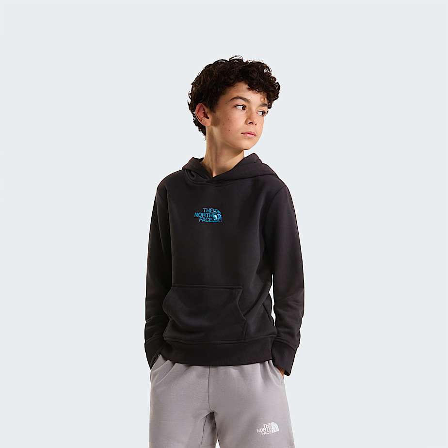 Mikina s kapuc Liquid Logo Regular pro kluky TNF TNF Black HERO
