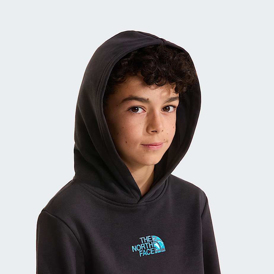 Mikina s kapuc Liquid Logo Regular pro kluky TNF TNF Black ALT4