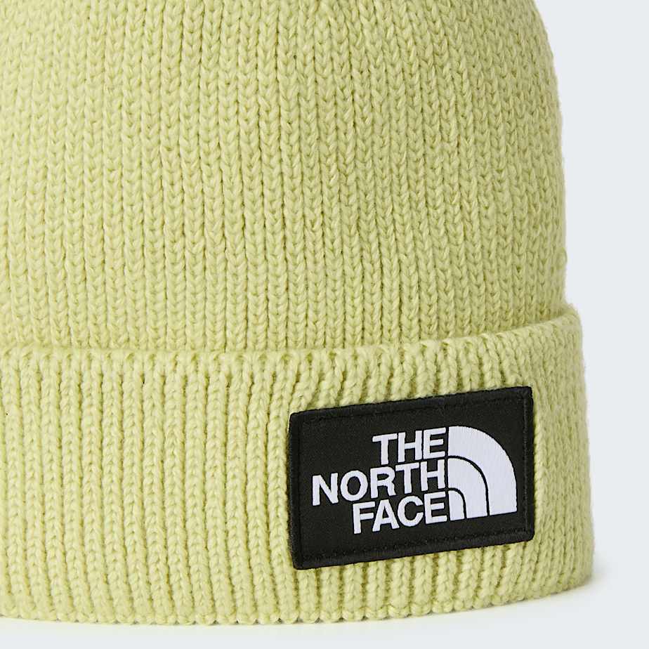 Berretto con risvolto e logo box TNF TNF Pear ALT2