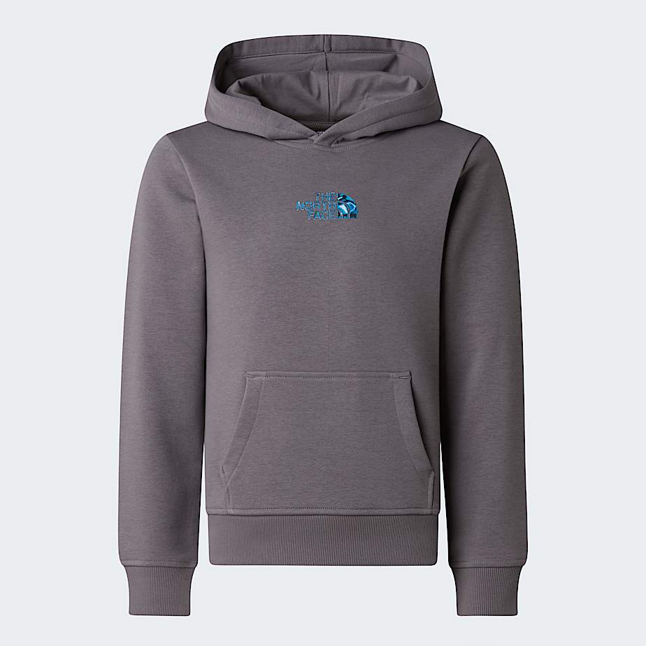 Liquid Logo Regular Hoodie Boy TNF ALT20