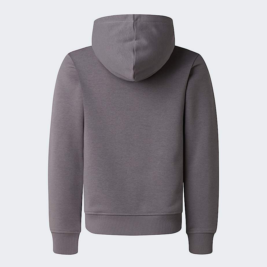 Liquid Logo Regular Hoodie Boy TNF ALT21