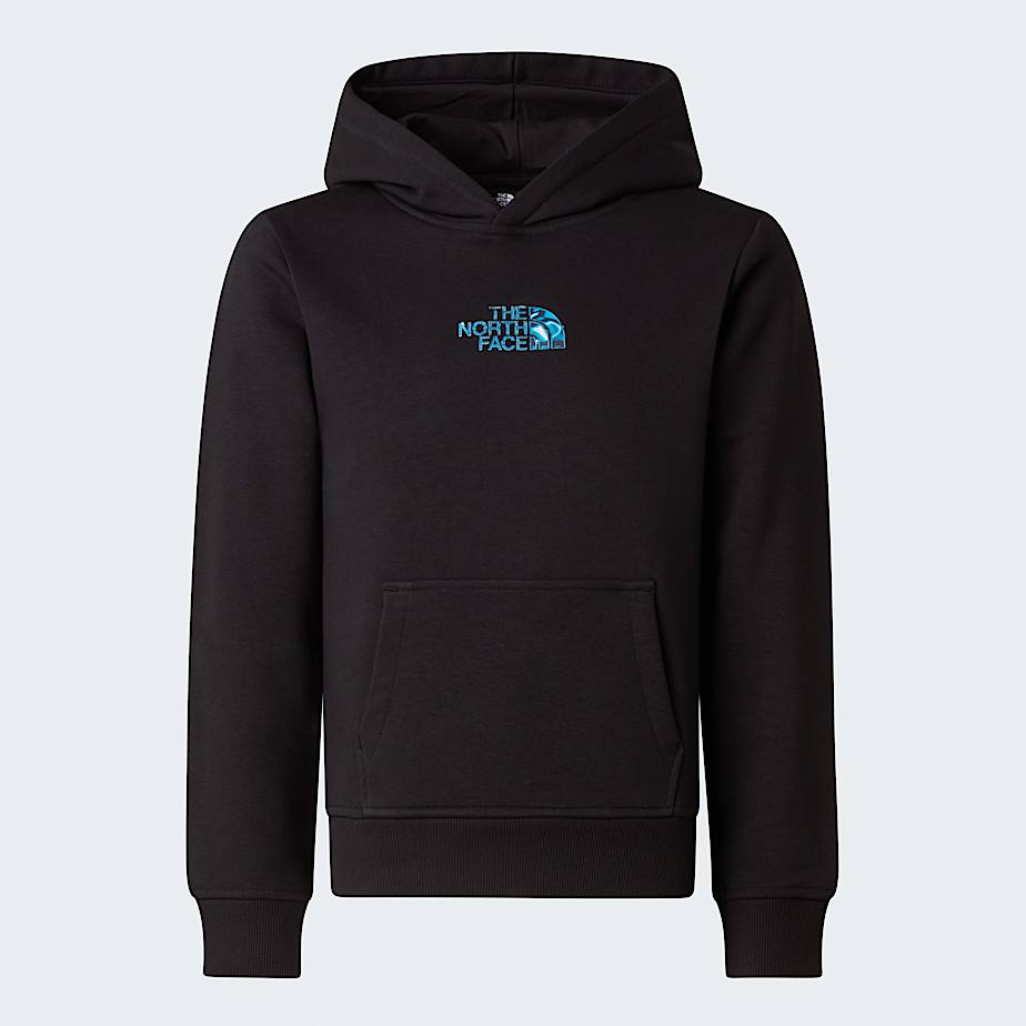 Mikina s kapuc Liquid Logo Regular pro kluky TNF TNF Black ALT20