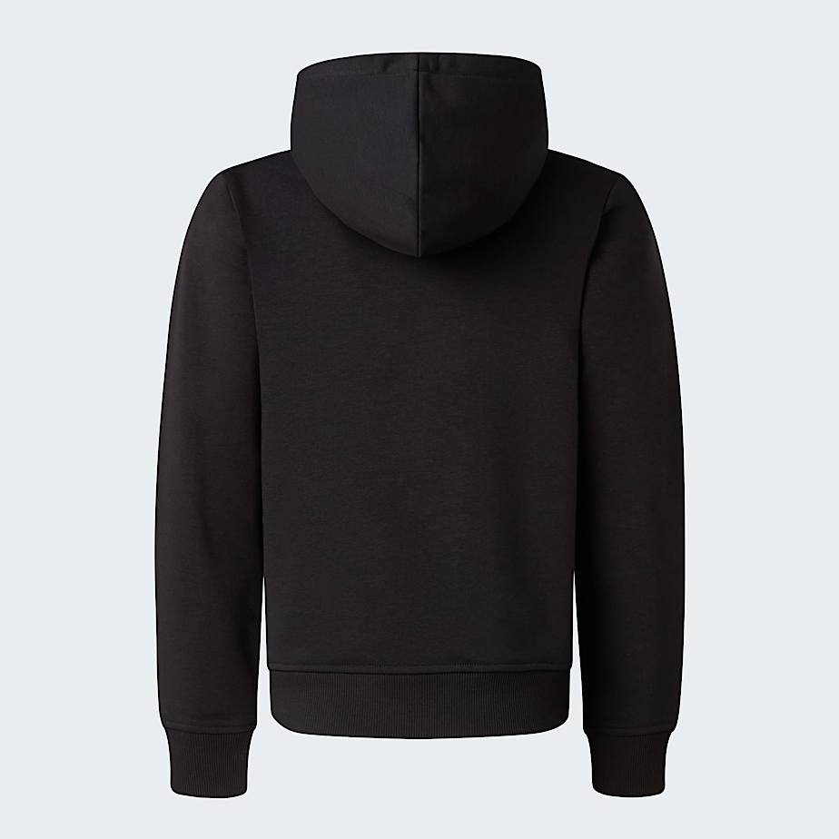 Mikina s kapuc Liquid Logo Regular pro kluky TNF TNF Black ALT21