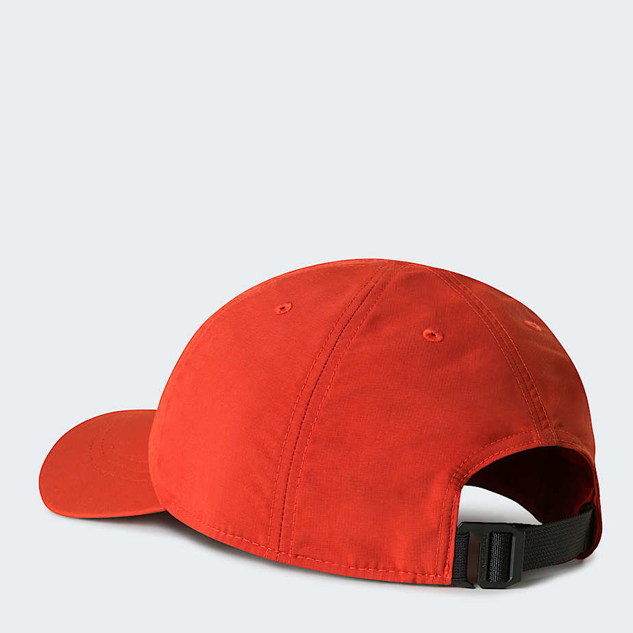 Horizon Cap TNF Iron Clay ALT2