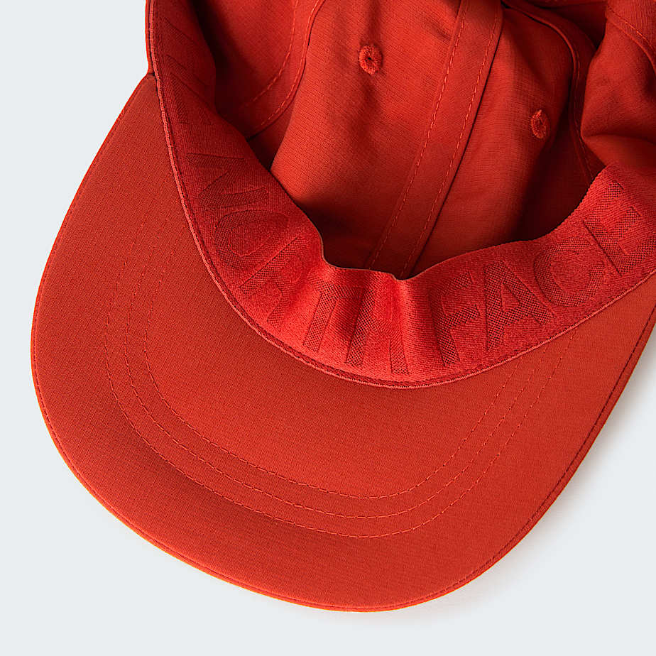 Horizon Cap TNF Iron Clay ALT3