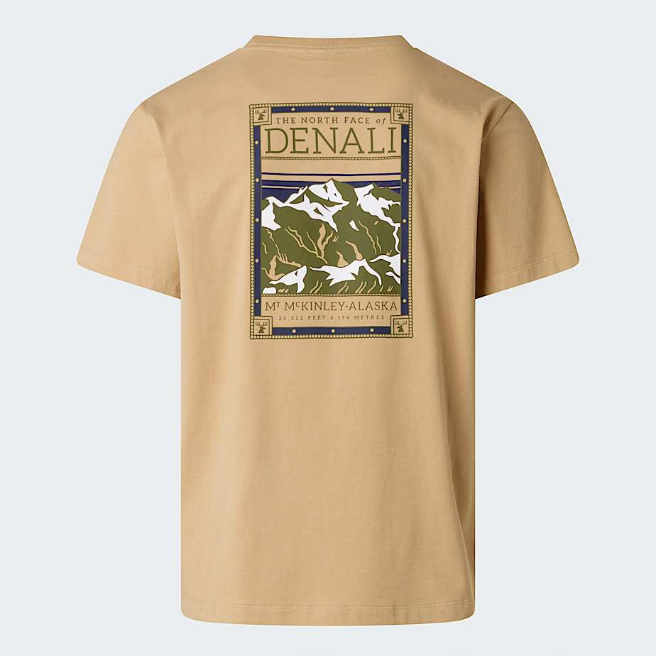 North Faces Regular Graphic TShirt M TNF Khaki Stone ALT21