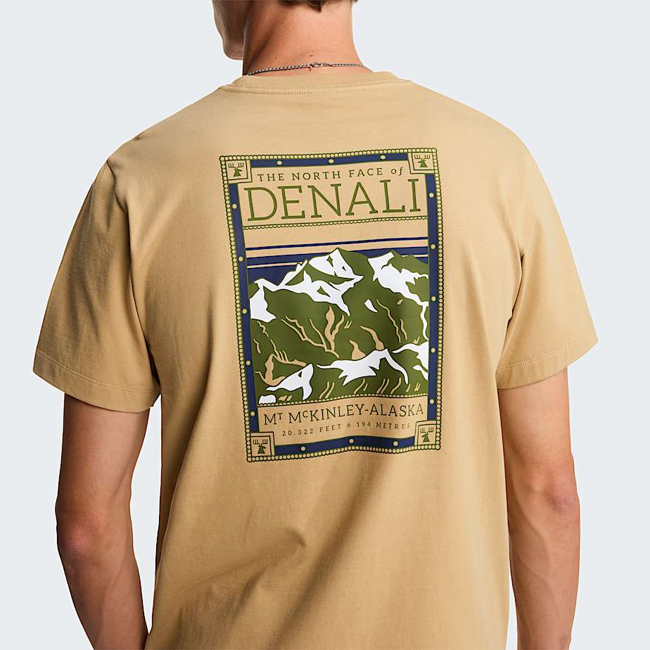 North Faces Regular Graphic TShirt M TNF Khaki Stone ALT5