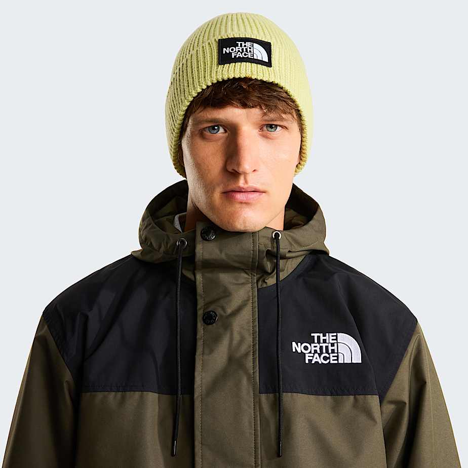 Berretto con risvolto e logo box TNF TNF Pear ALT12