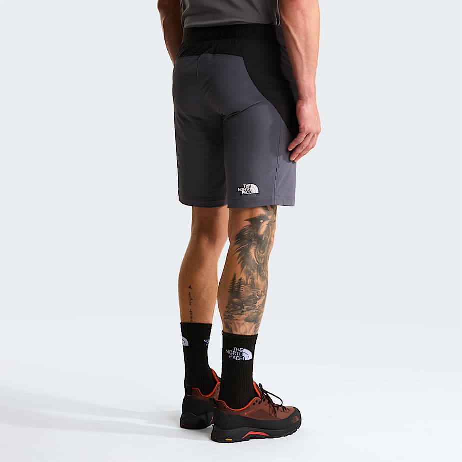 Mskie szorty Circadian Alpine TNF ALT3