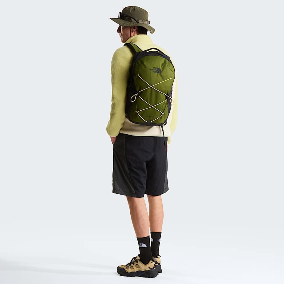 Jester Backpack TNF Woodland GreenTNF BlackHoneyed Sand ALT10