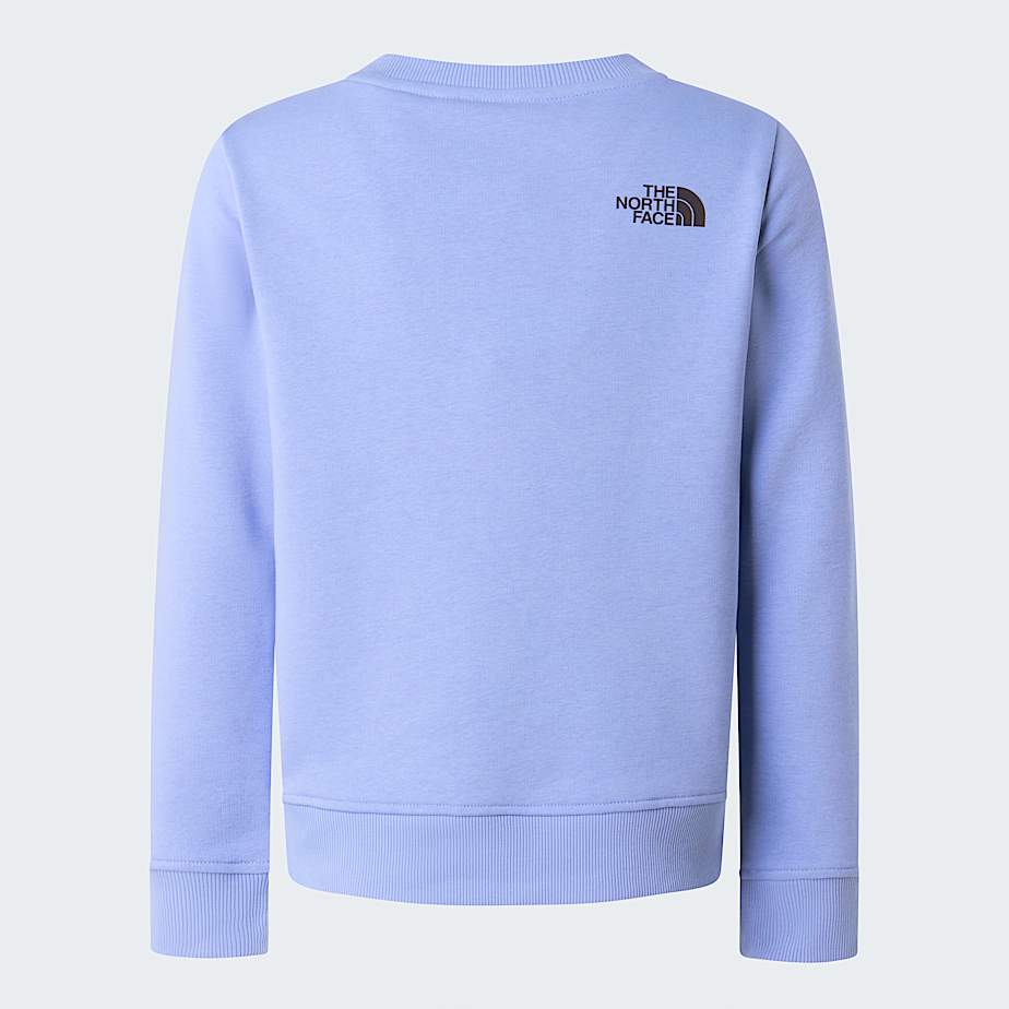 Teens Drew Peak Crew Neck Sweatshirt TNF Periwinkle Glow ALT21