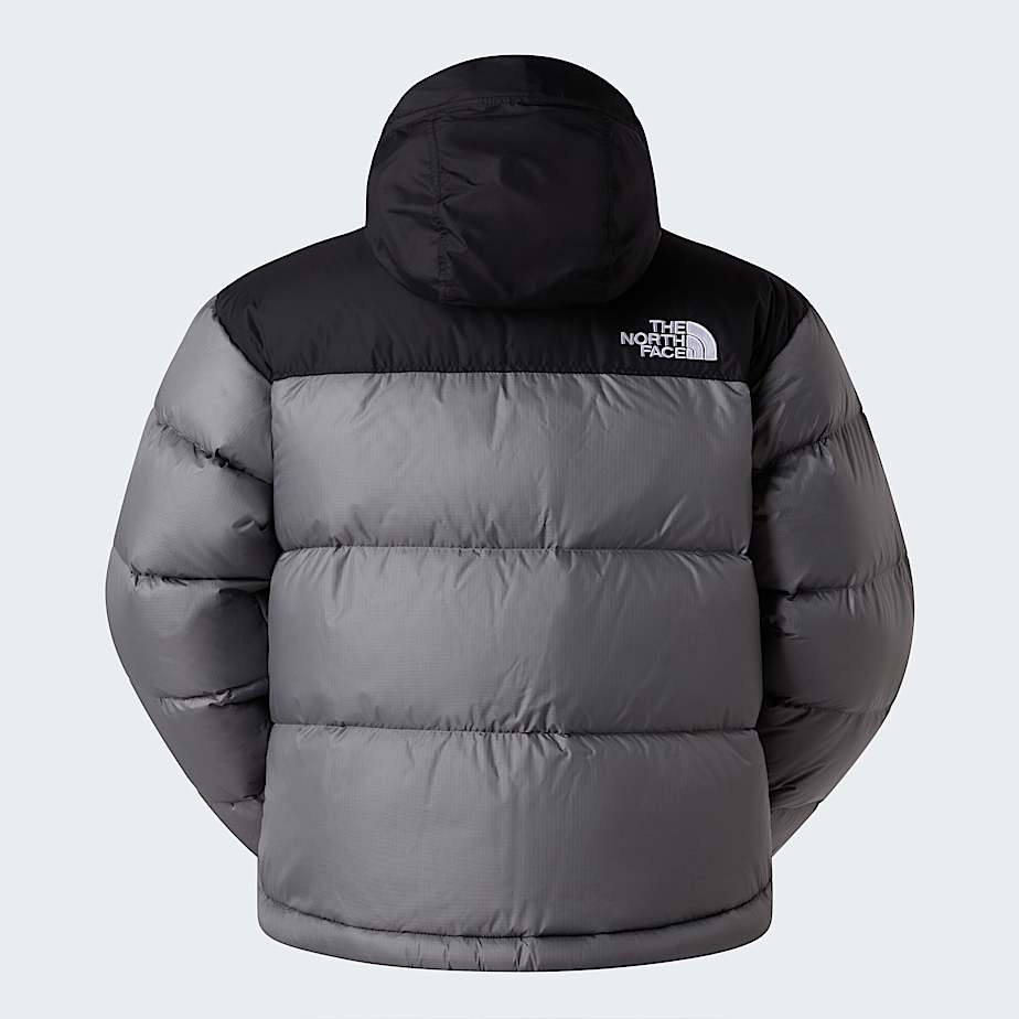 1996 Retro Nuptsejas voor heren TNF Smoked PearlTNF Black ALT21