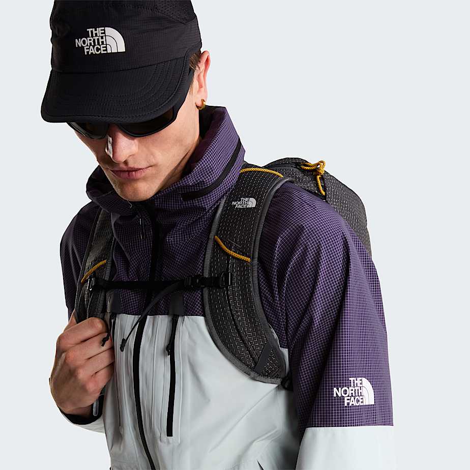 Mens Hike Devils Thumb GORETEX Jacket TNF Pearl StoneEndless Dusk ALT12