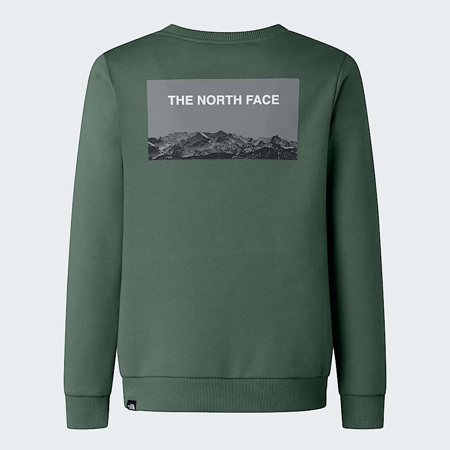 Sweat pour enfant TNF ALT1