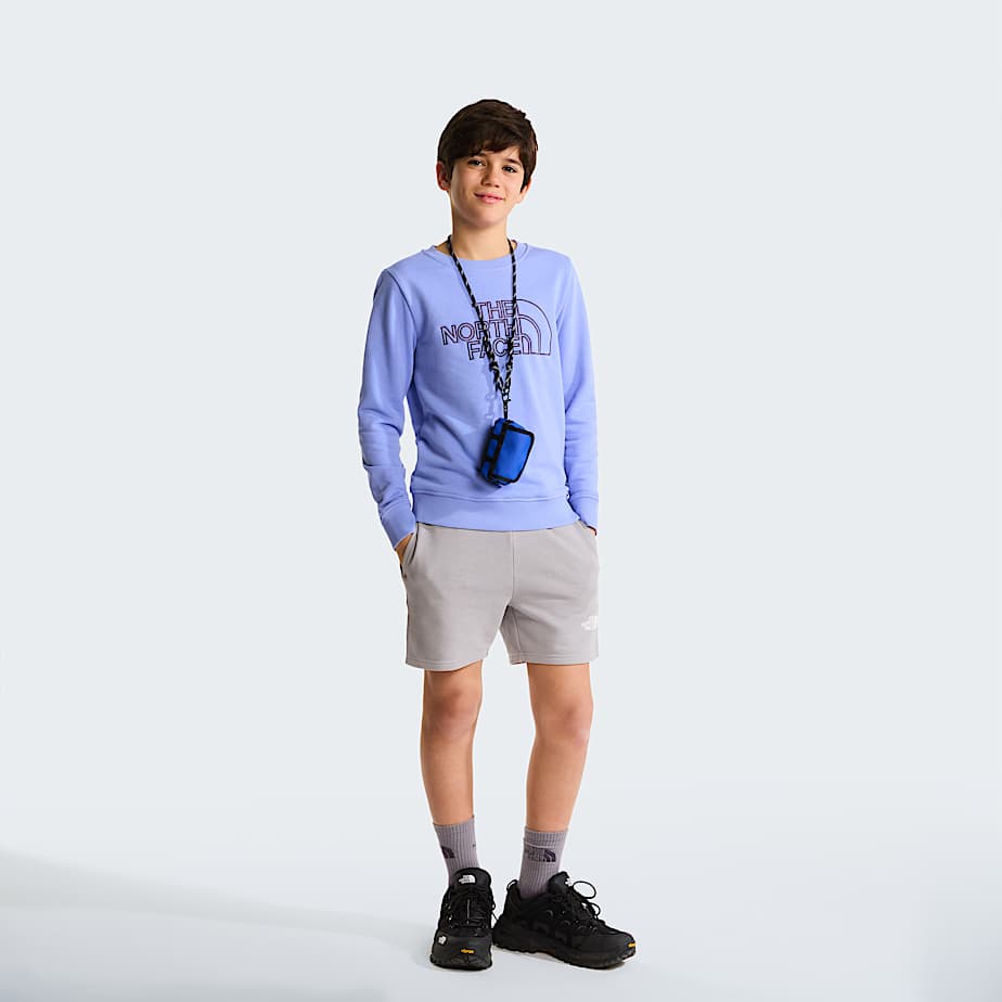 Teens Drew Peak Crew Neck Sweatshirt TNF Periwinkle Glow ALT1