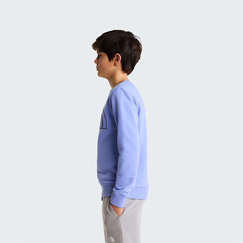 Teens Drew Peak Crew Neck Sweatshirt TNF Periwinkle Glow ALT2