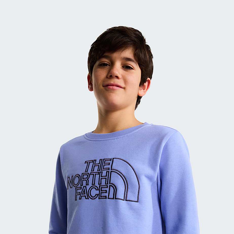 Teens Drew Peak Crew Neck Sweatshirt TNF Periwinkle Glow ALT4