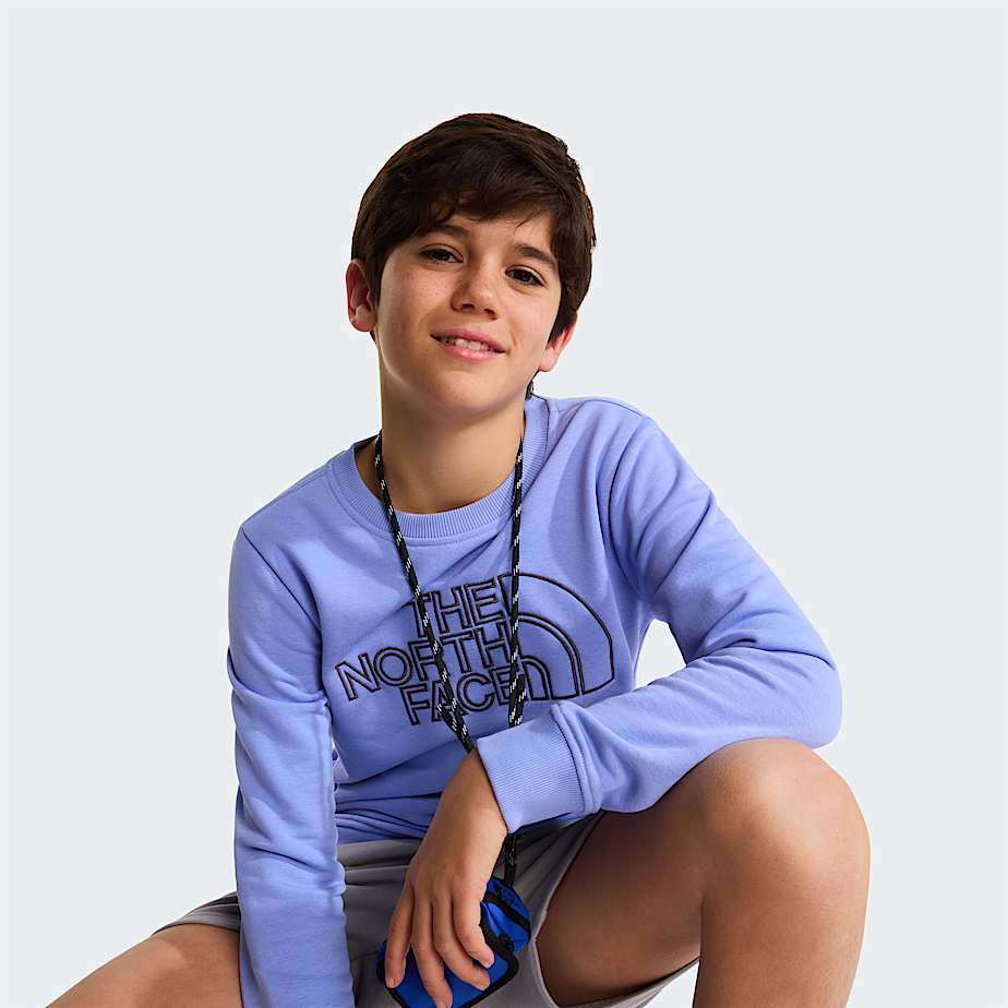 Teens Drew Peak Crew Neck Sweatshirt TNF Periwinkle Glow ALT5