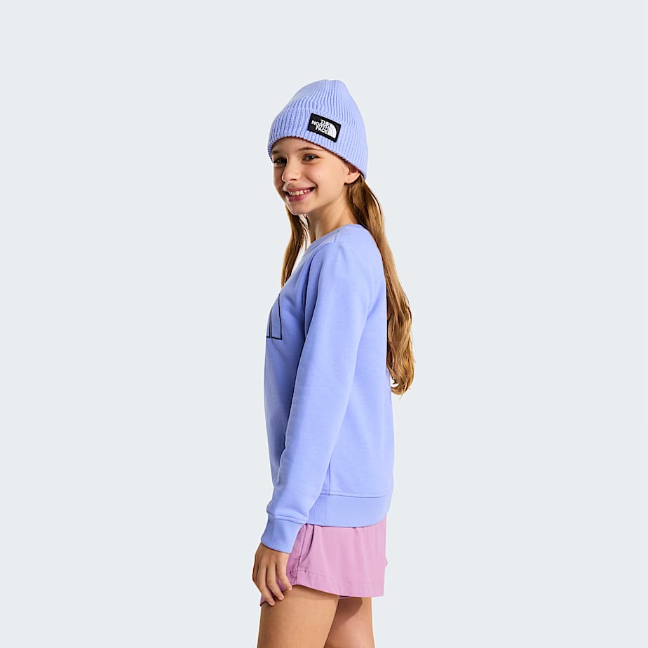 Teens Drew Peak Crew Neck Sweatshirt TNF Periwinkle Glow ALT7