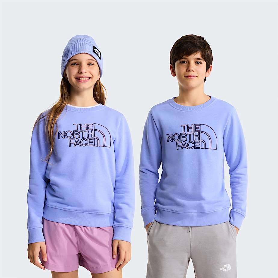 Teens Drew Peak Crew Neck Sweatshirt TNF Periwinkle Glow HERO