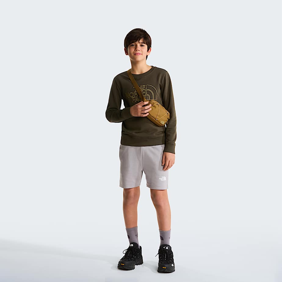 Teens Simple Dome Light Regular Shorts TNF Meld Grey ALT1
